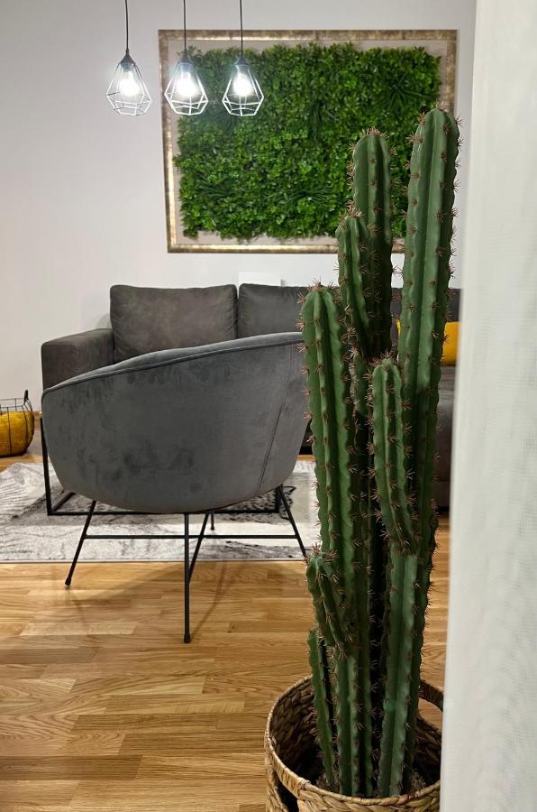 Jungle Lux Apartment Cacak Ngoại thất bức ảnh